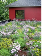 planted roof