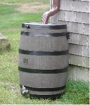 rainbarrel